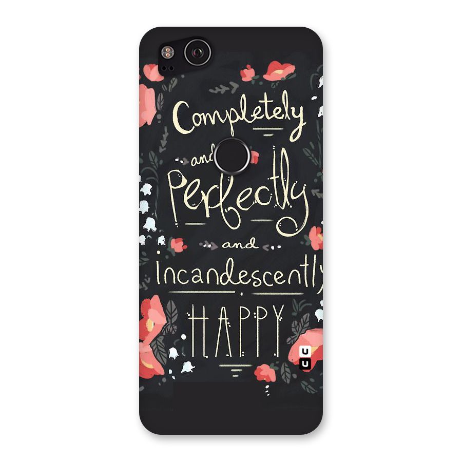 Completely Happy Back Case for Google Pixel 2