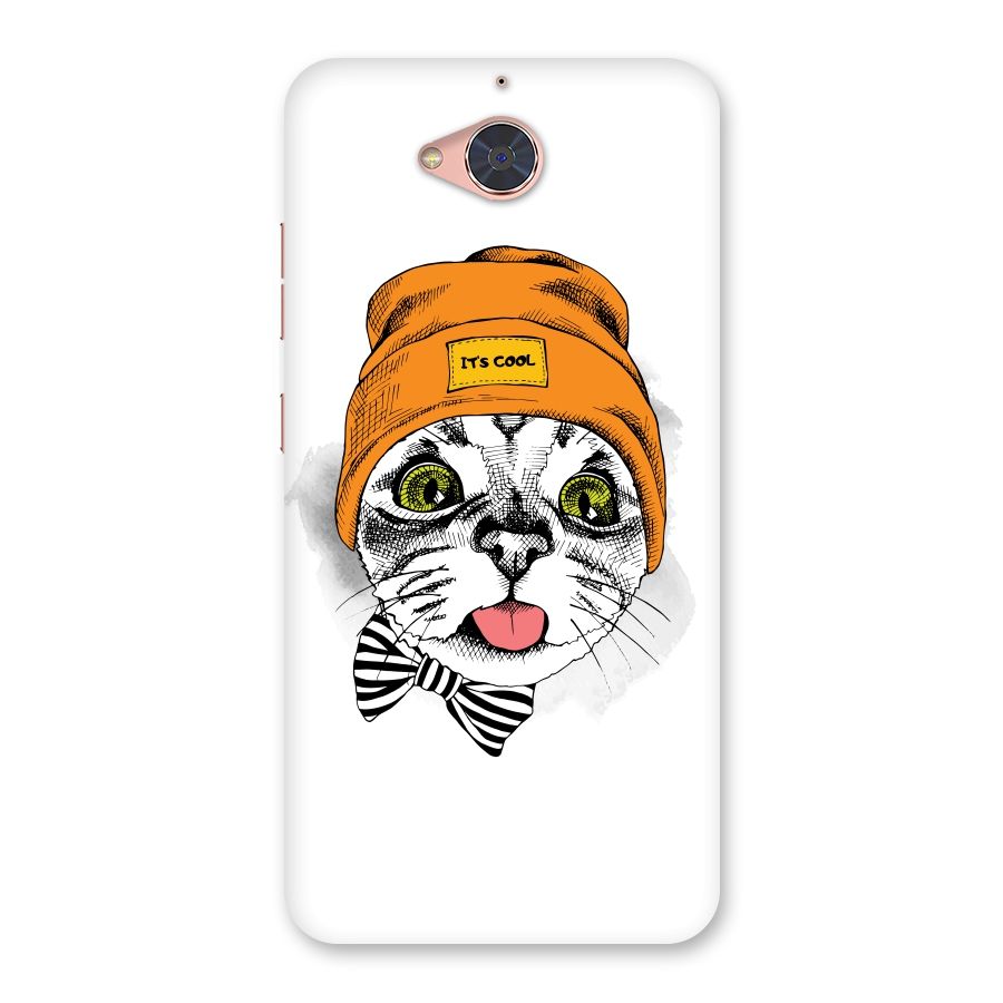 Cool cat Back Case for Gionee S6 Pro
