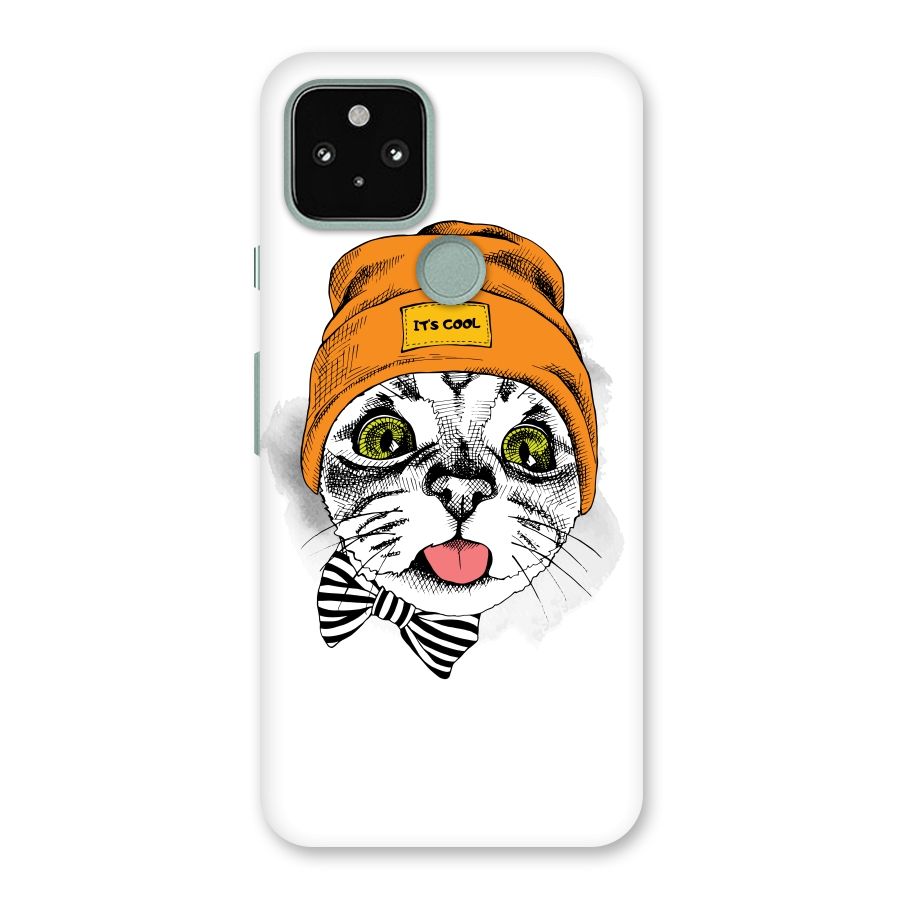 Cool cat Back Case for Google Pixel 5