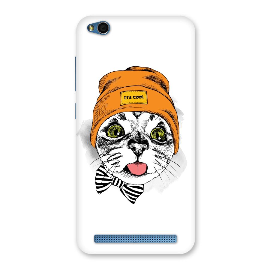 Cool cat Back Case for Redmi 5A