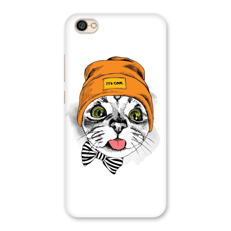 Cool cat Back Case for Redmi Y1 Lite