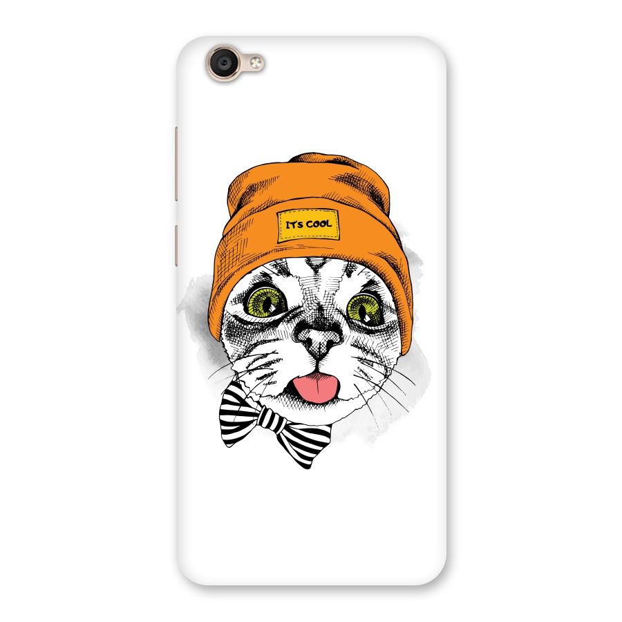 Cool cat Back Case for Vivo Y55s