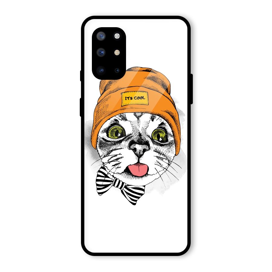 Cool cat Glass Back Case for OnePlus 8T