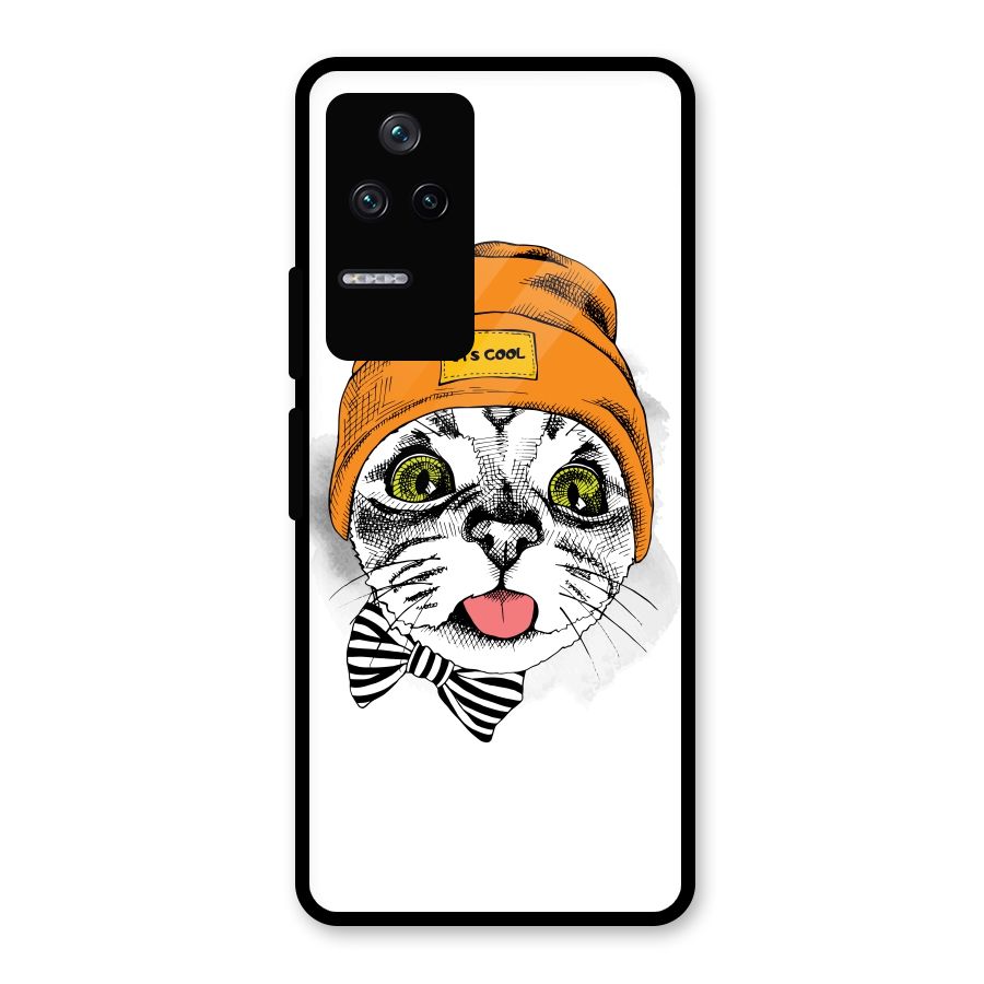 Cool cat Glass Back Case for Poco F4 5G