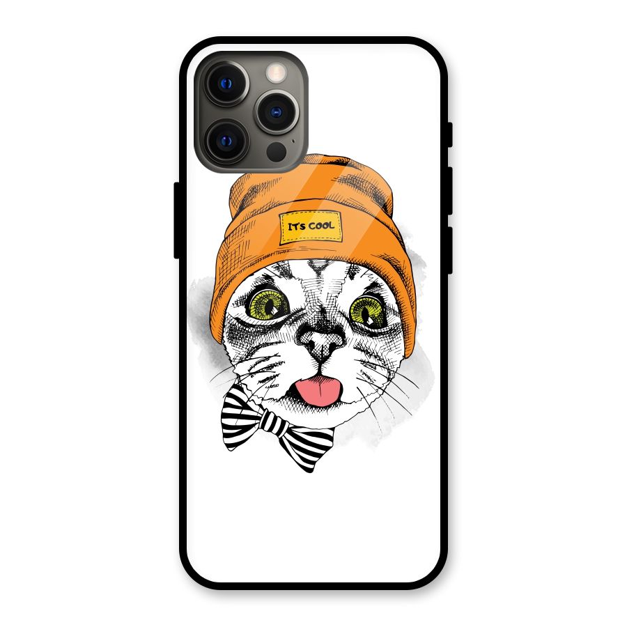 Cool cat Glass Back Case for iPhone 12 Pro Max