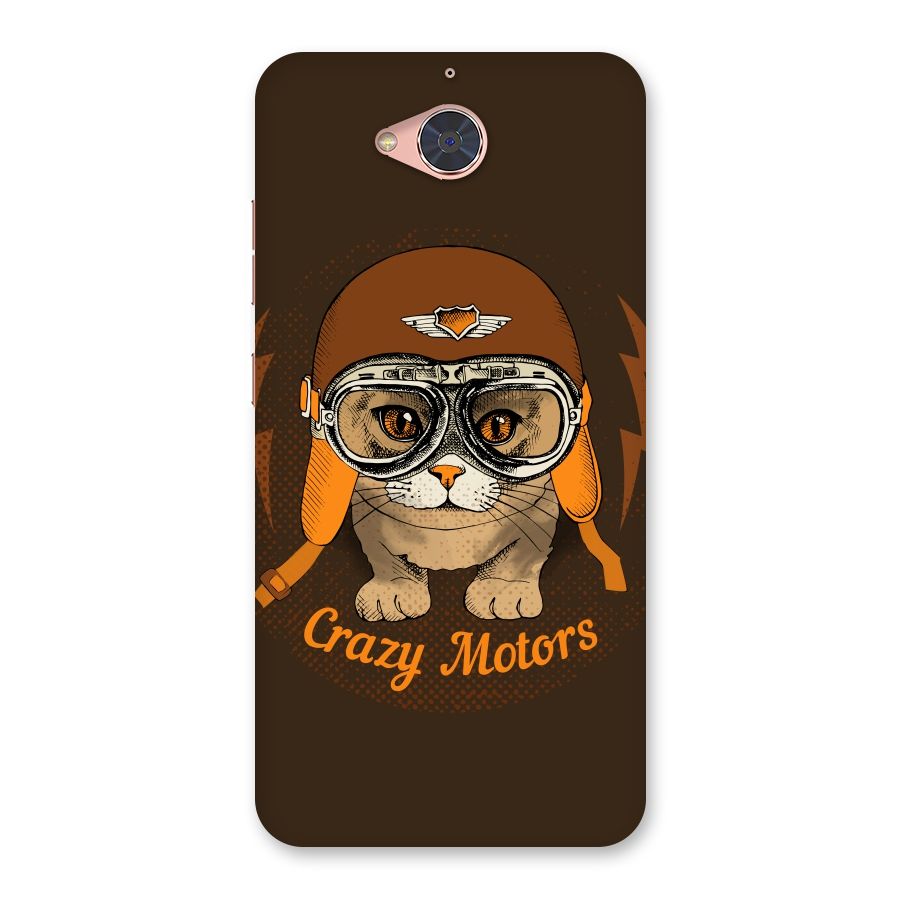 Crazy cat Back Case for Gionee S6 Pro