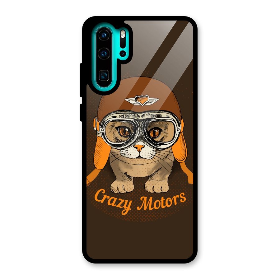 Crazy cat Glass Back Case for Huawei P30 Pro