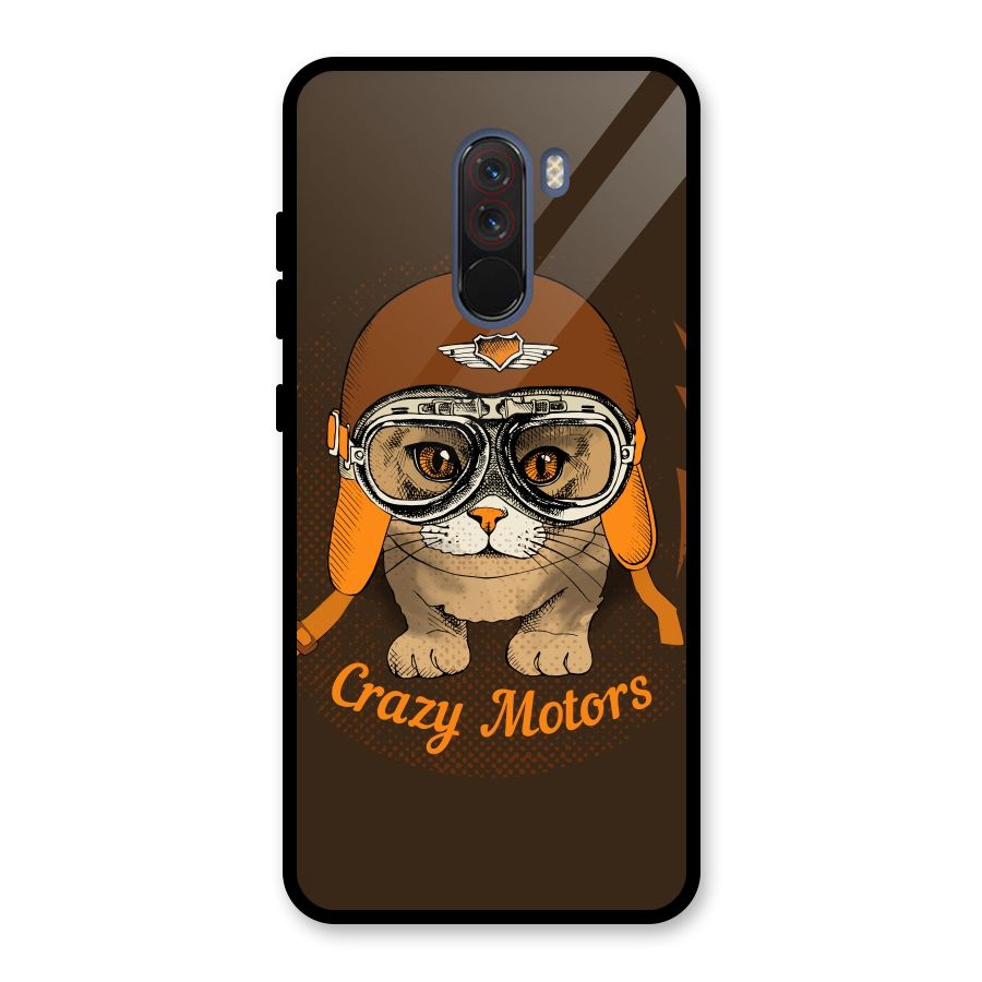 Crazy cat Glass Back Case for Poco F1