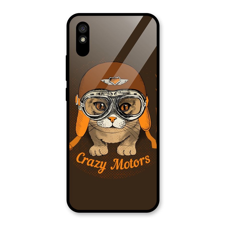 Crazy cat Glass Back Case for Redmi 9i