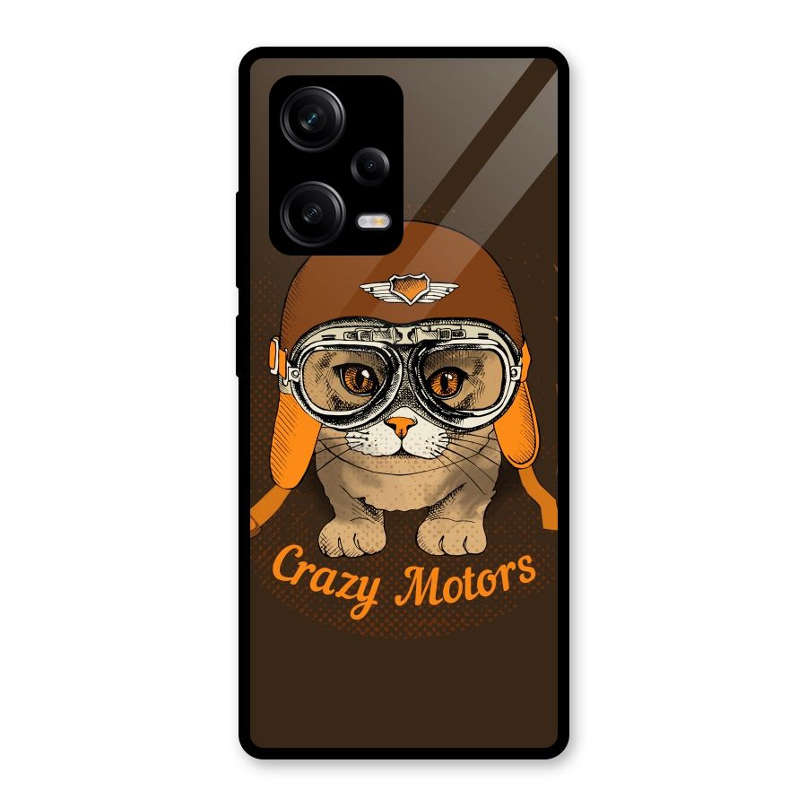 Crazy cat Glass Back Case for Redmi Note 12 Pro