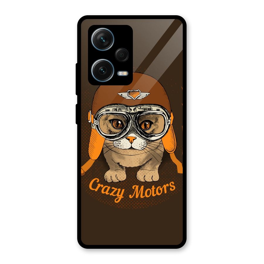 Crazy cat Glass Back Case for Redmi Note 12 Pro Plus 5G