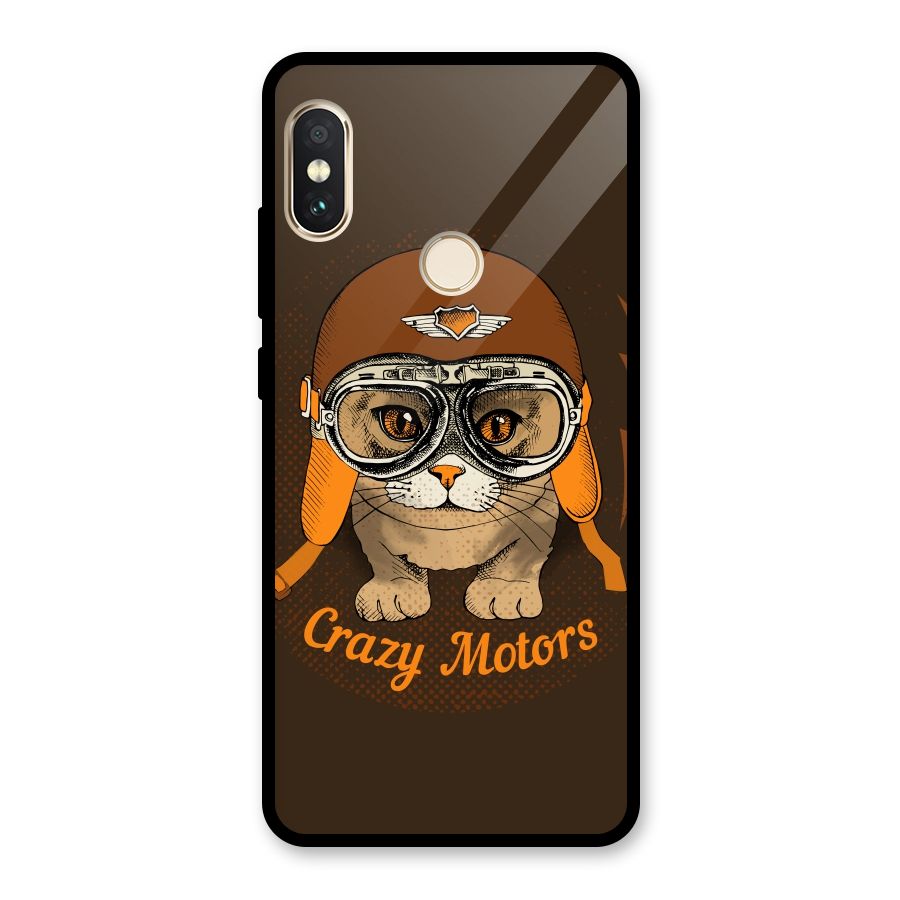 Crazy cat Glass Back Case for Redmi Note 5 Pro