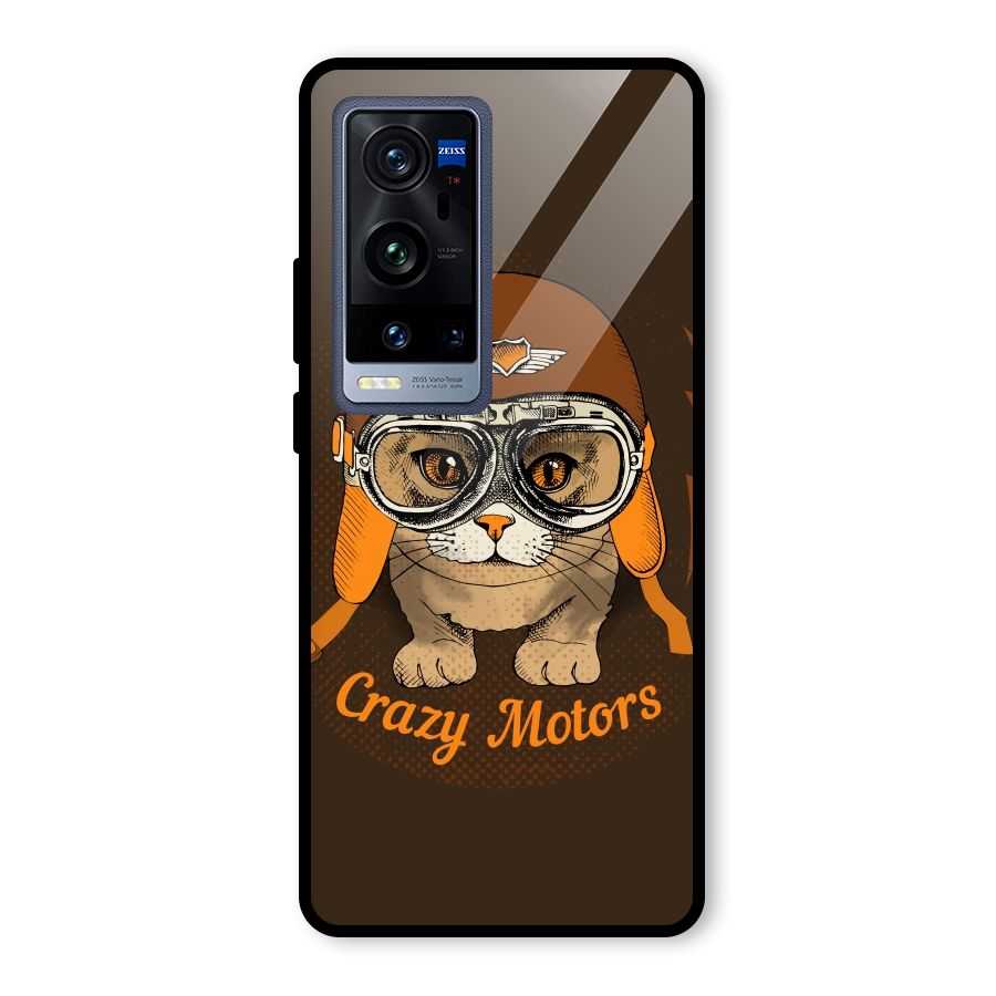 Crazy cat Glass Back Case for Vivo X60 Pro Plus