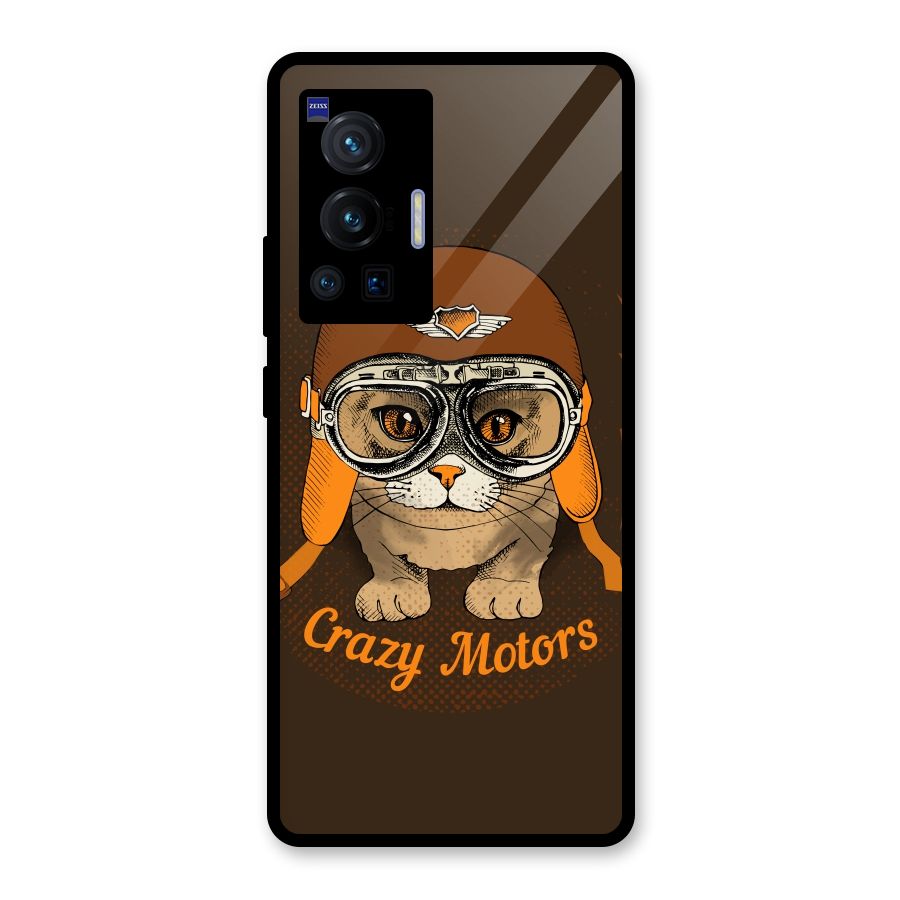 Crazy cat Glass Back Case for Vivo X70 Pro