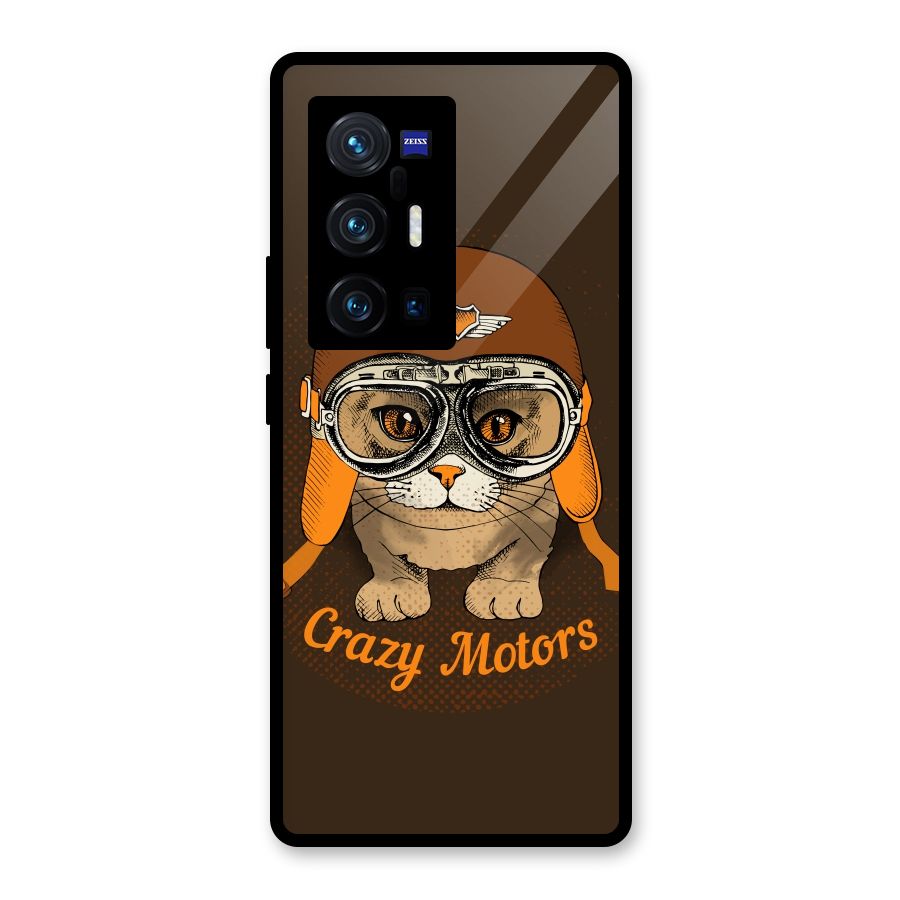 Crazy cat Glass Back Case for Vivo X70 Pro Plus