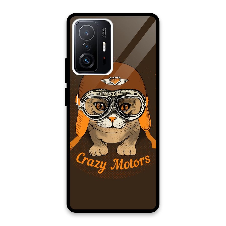 Crazy cat Glass Back Case for Xiaomi 11T Pro