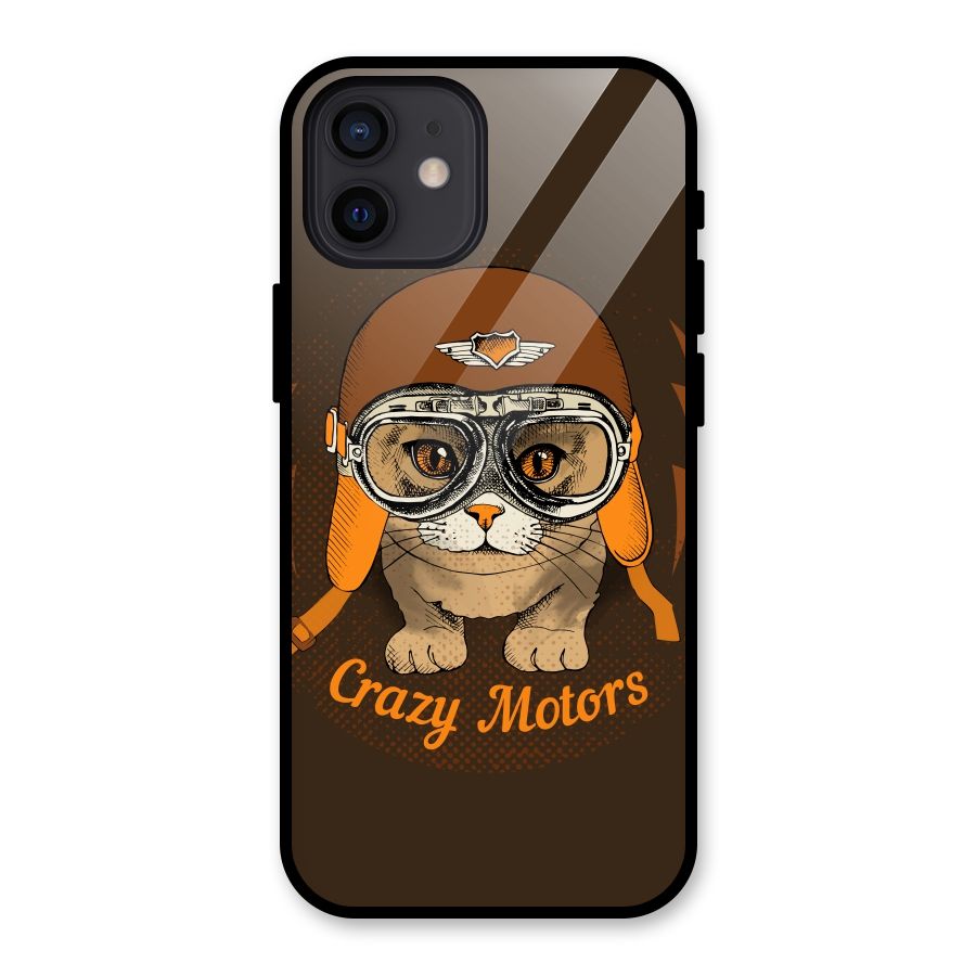 Crazy cat Glass Back Case for iPhone 12