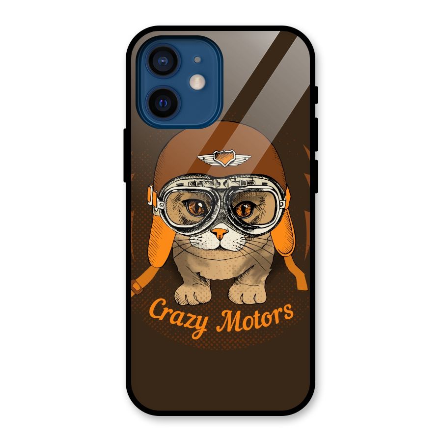 Crazy cat Glass Back Case for iPhone 12 Mini
