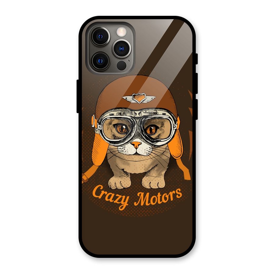 Crazy cat Glass Back Case for iPhone 12 Pro