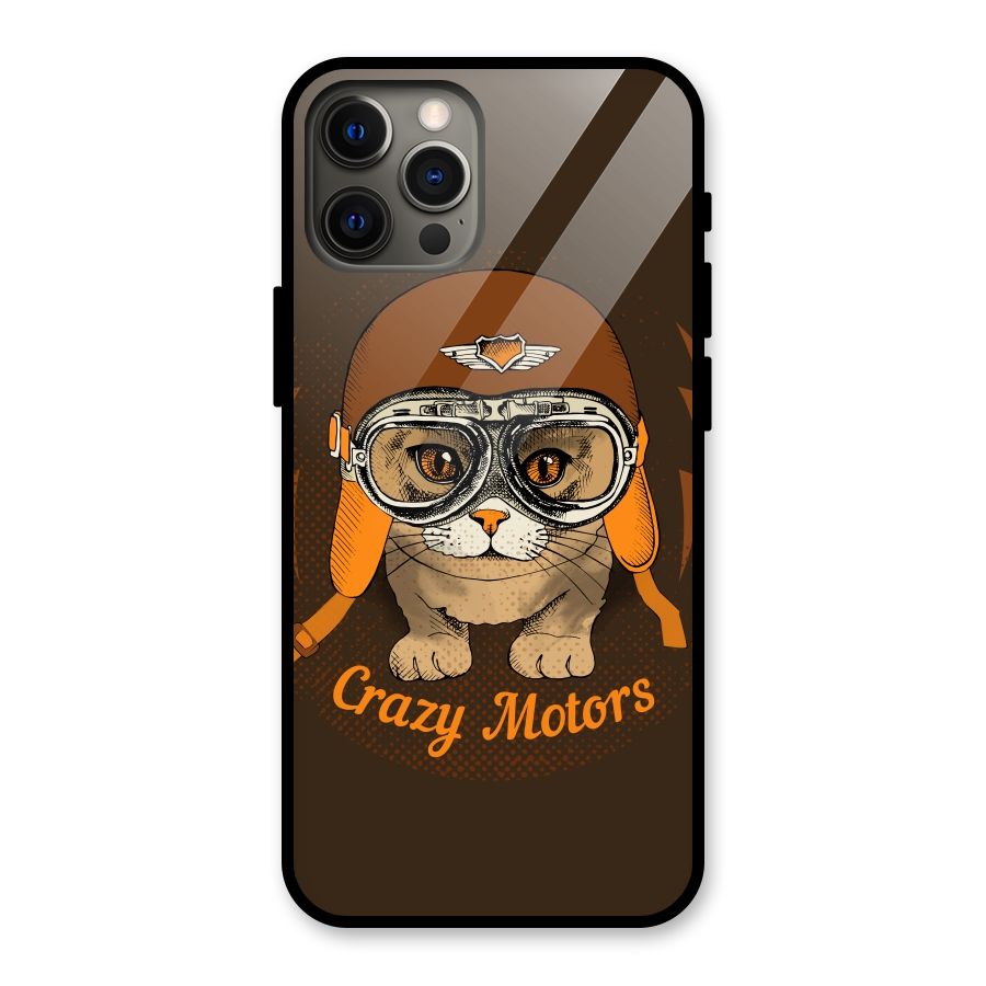 Crazy cat Glass Back Case for iPhone 12 Pro Max