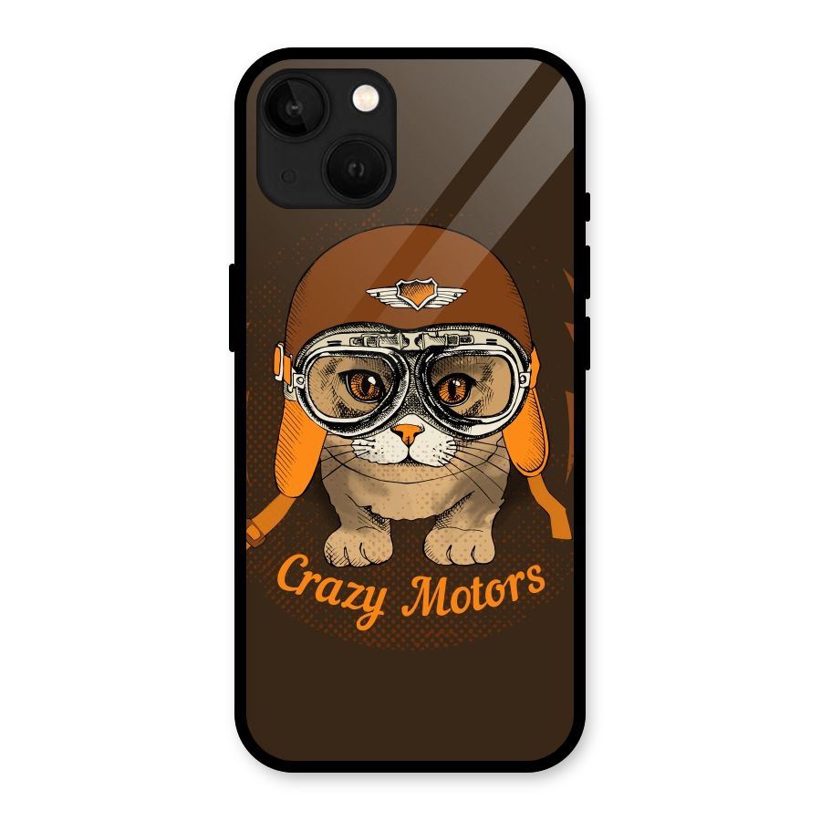 Crazy cat Glass Back Case for iPhone 13