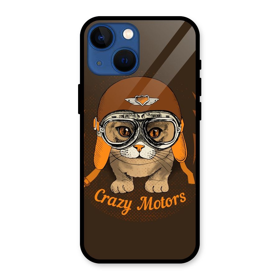 Crazy cat Glass Back Case for iPhone 13 Mini