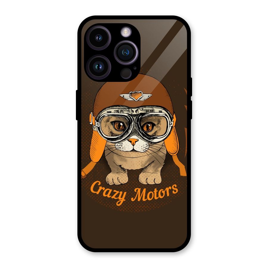 Crazy cat Glass Back Case for iPhone 14 Pro Max
