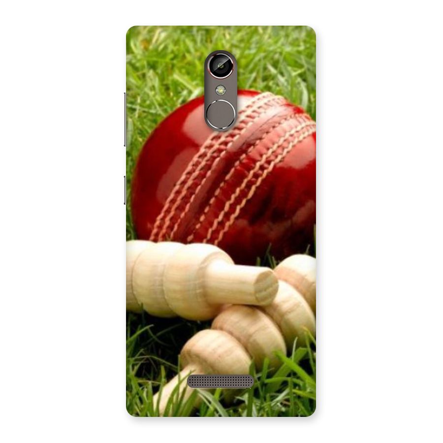 Cricket Ball and Stumps Back Case for Gionee S6s