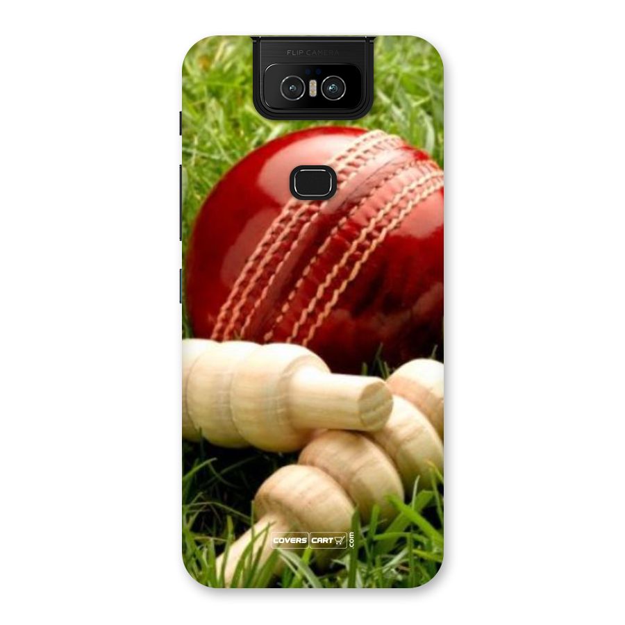 Cricket Ball and Stumps Back Case for Zenfone 6z