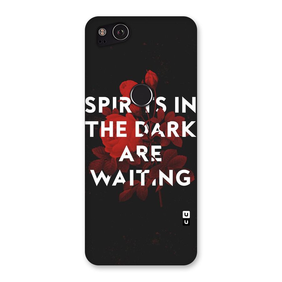Dark Spirits Back Case for Google Pixel 2