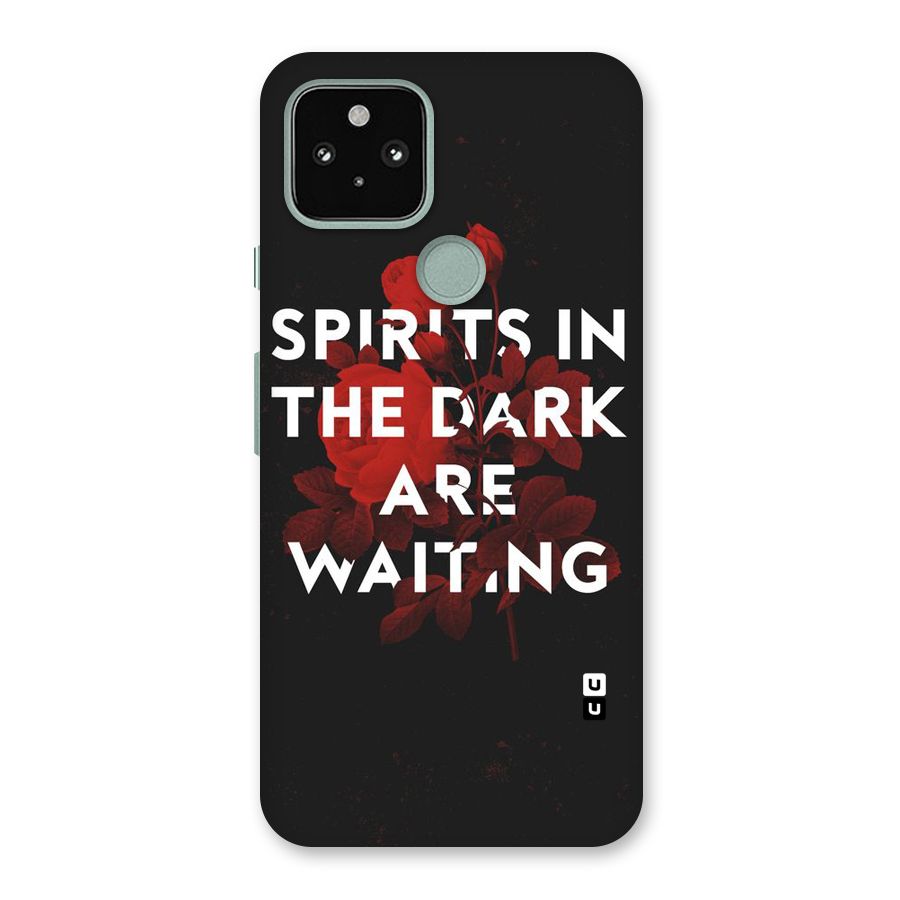 Dark Spirits Back Case for Google Pixel 5
