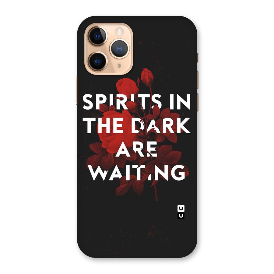 Dark Spirits Back Case for iPhone 11 Pro