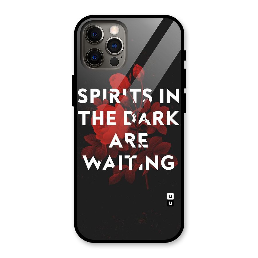 Dark Spirits Glass Back Case for iPhone 12 Pro