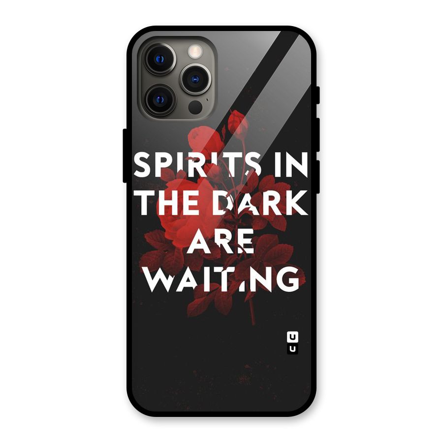 Dark Spirits Glass Back Case for iPhone 12 Pro Max