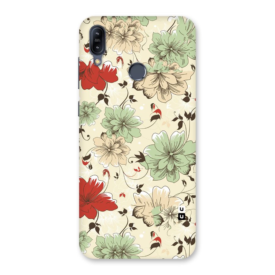 Decent Design Back Case for Zenfone Max M2