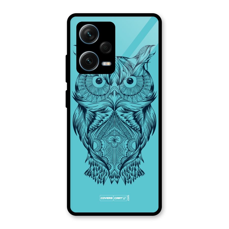 Designer Owl Glass Back Case for Redmi Note 12 Pro Plus 5G