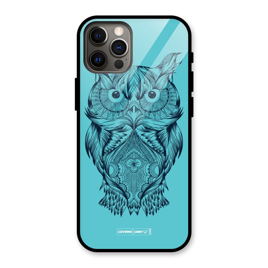 Designer Owl Glass Back Case for iPhone 12 Pro