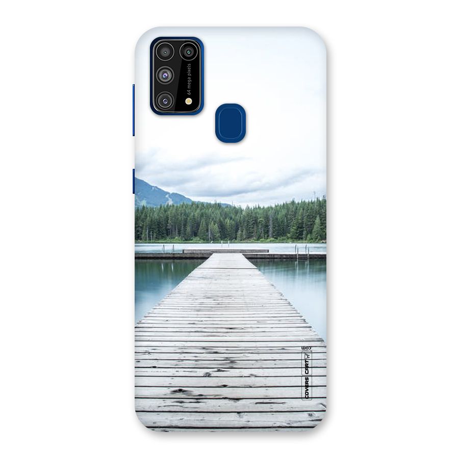 Dock River Back Case for Galaxy F41