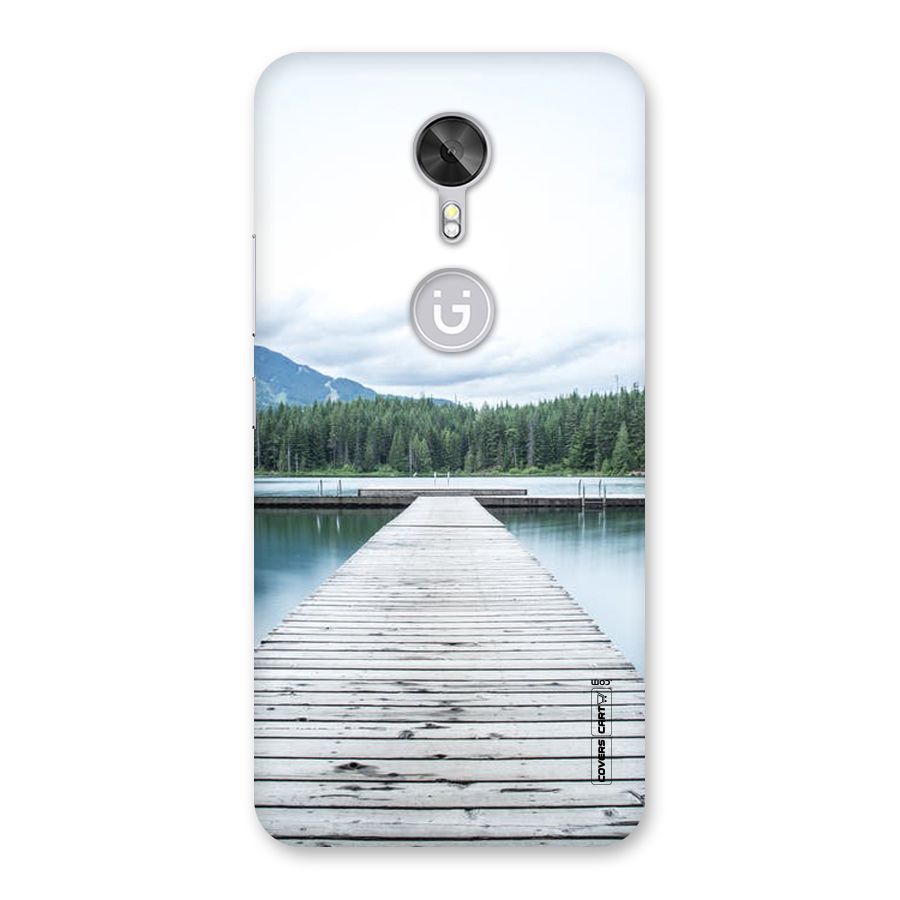 Dock River Back Case for Gionee A1