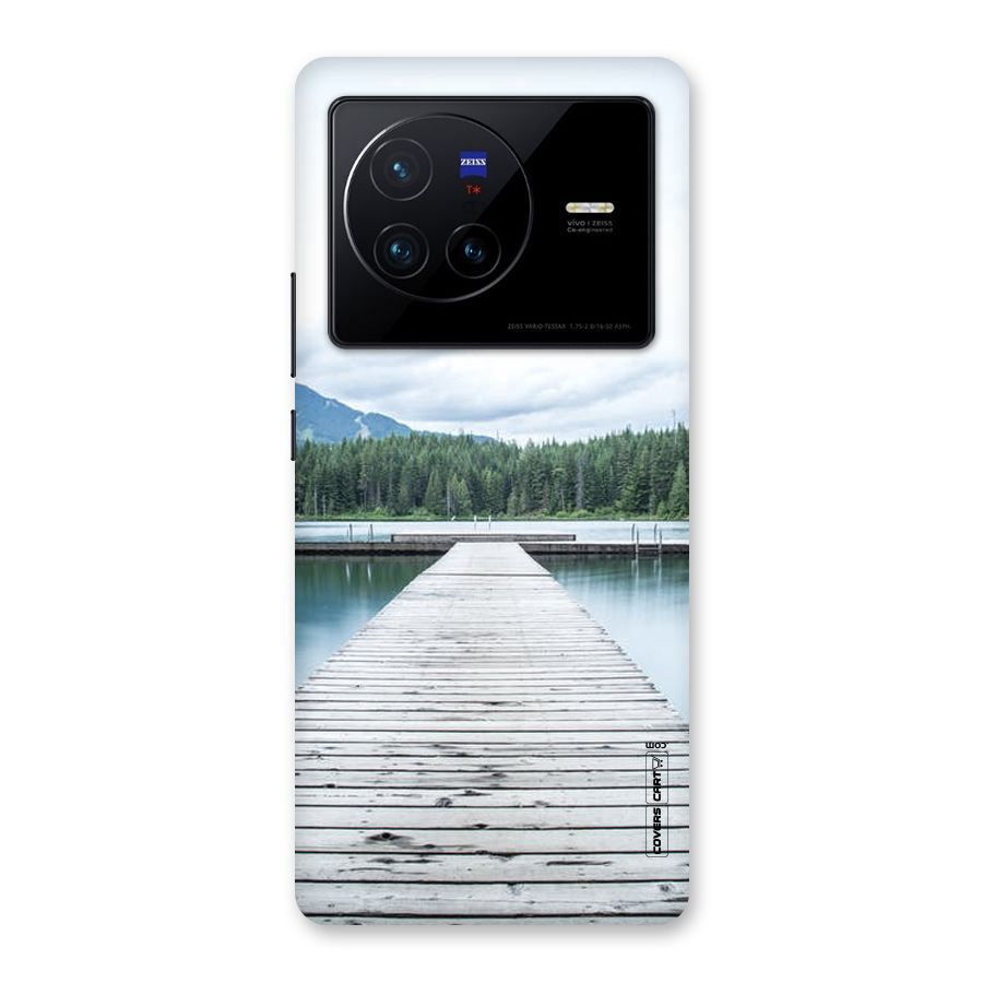 Dock River Back Case for Vivo X80