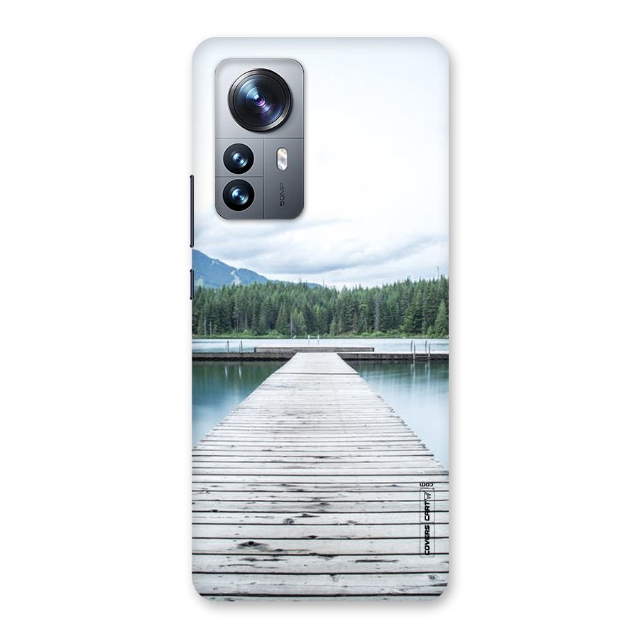 Dock River Back Case for Xiaomi 12 Pro