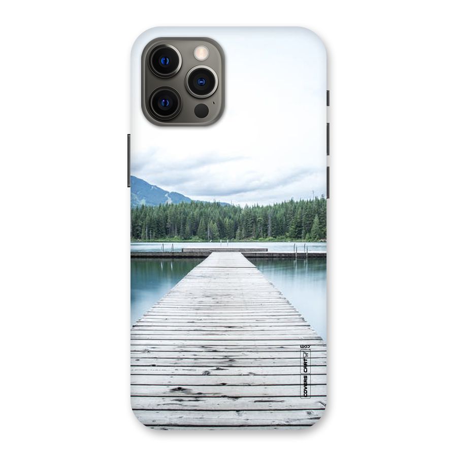 Dock River Back Case for iPhone 12 Pro Max