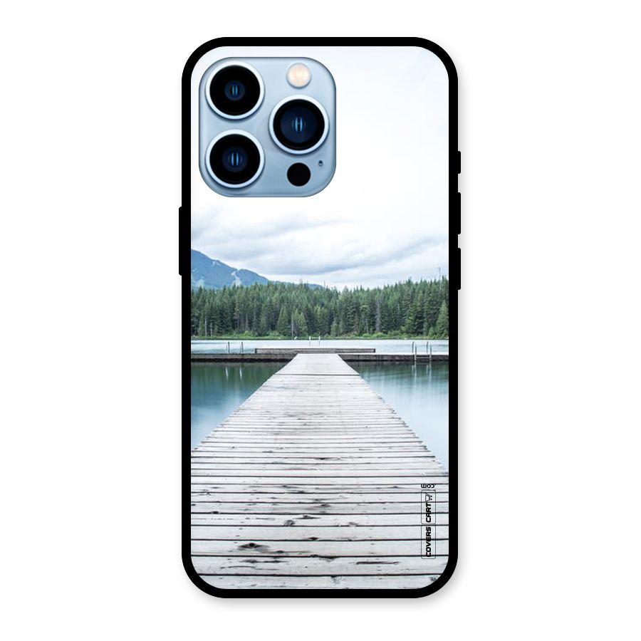 Dock River Glass Back Case for iPhone 13 Pro