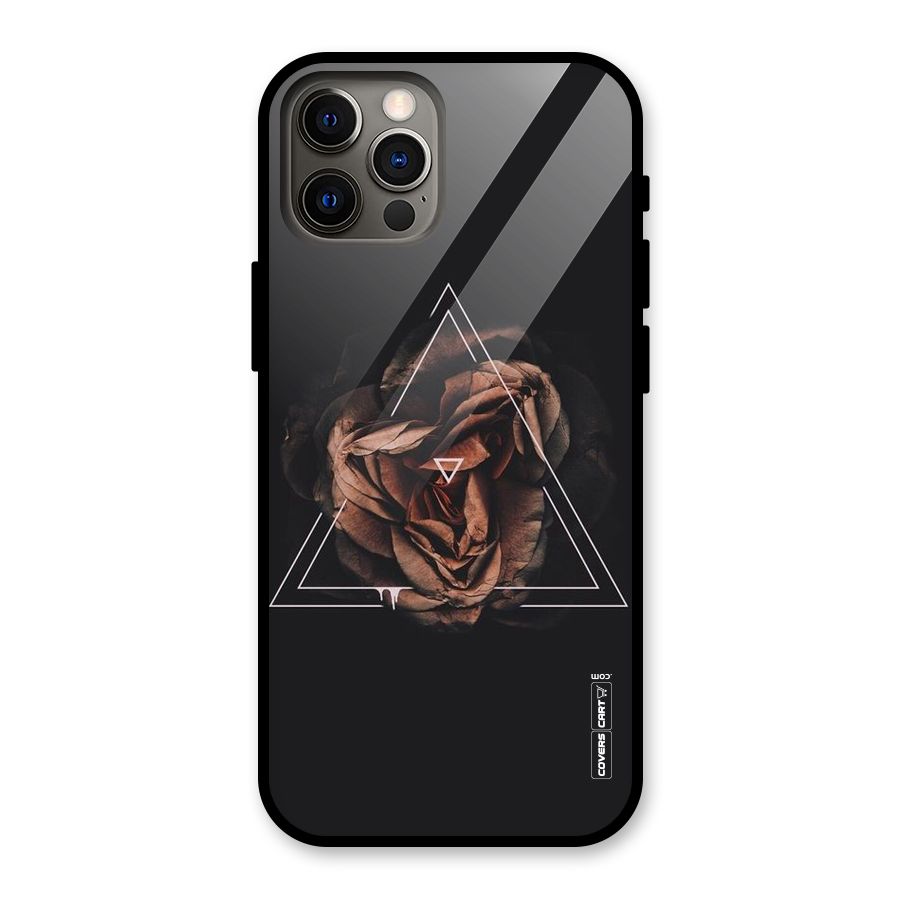 Dusty Rose Glass Back Case for iPhone 12 Pro