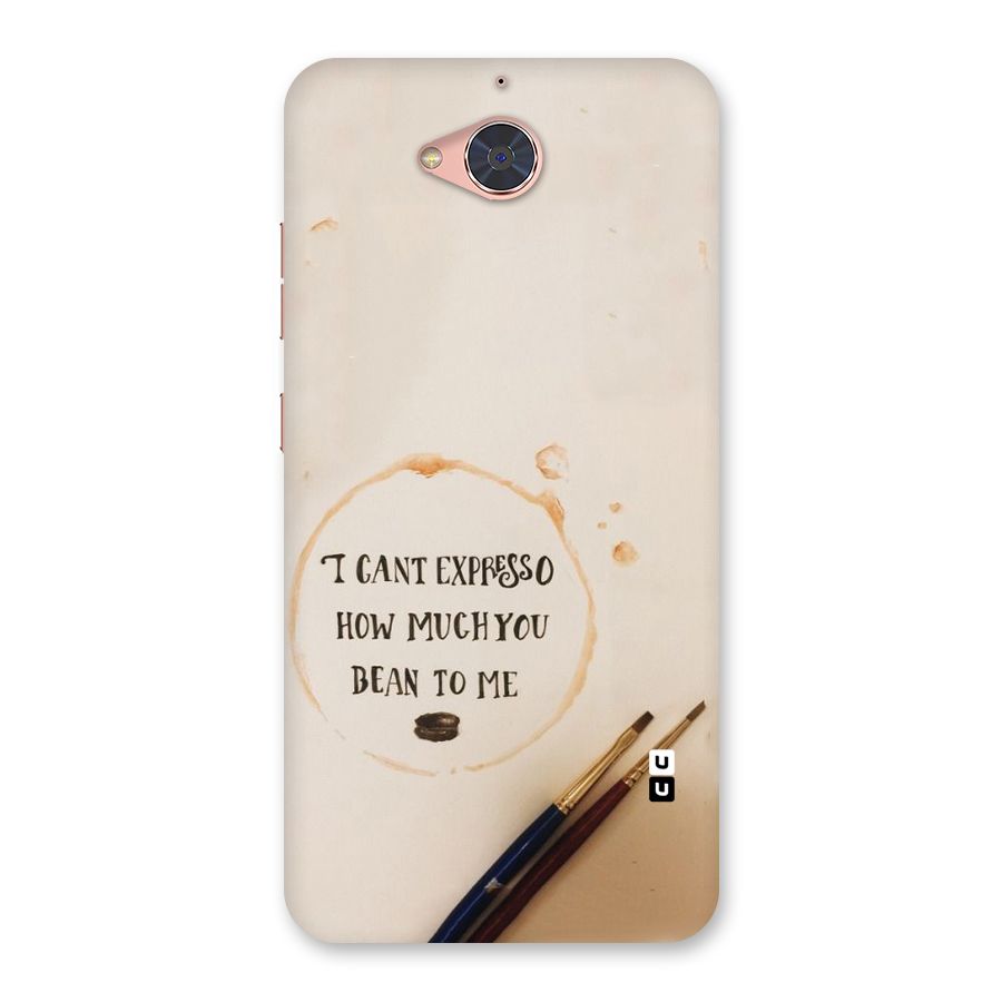 Espresso Bean Back Case for Gionee S6 Pro