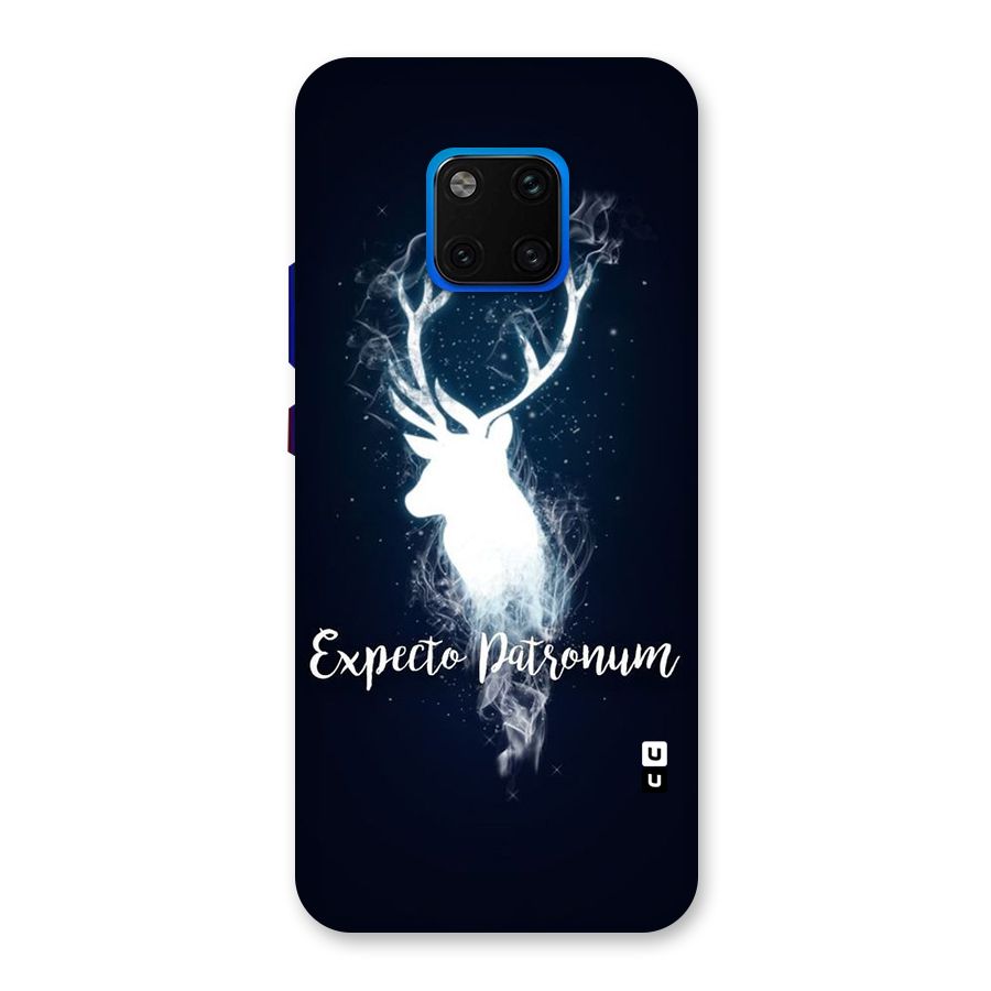 Expected Wish Back Case for Huawei Mate 20 Pro