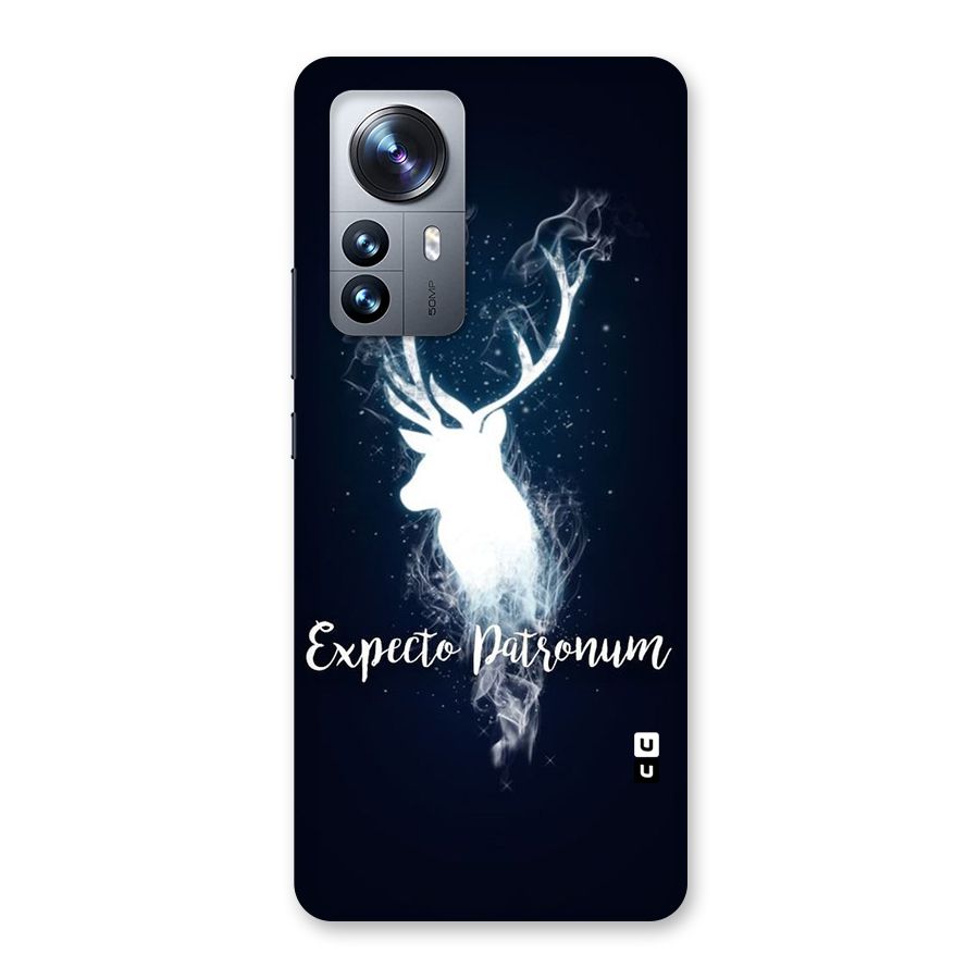 Expected Wish Back Case for Xiaomi 12 Pro