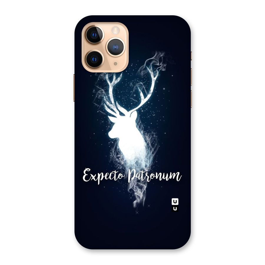 Expected Wish Back Case for iPhone 11 Pro