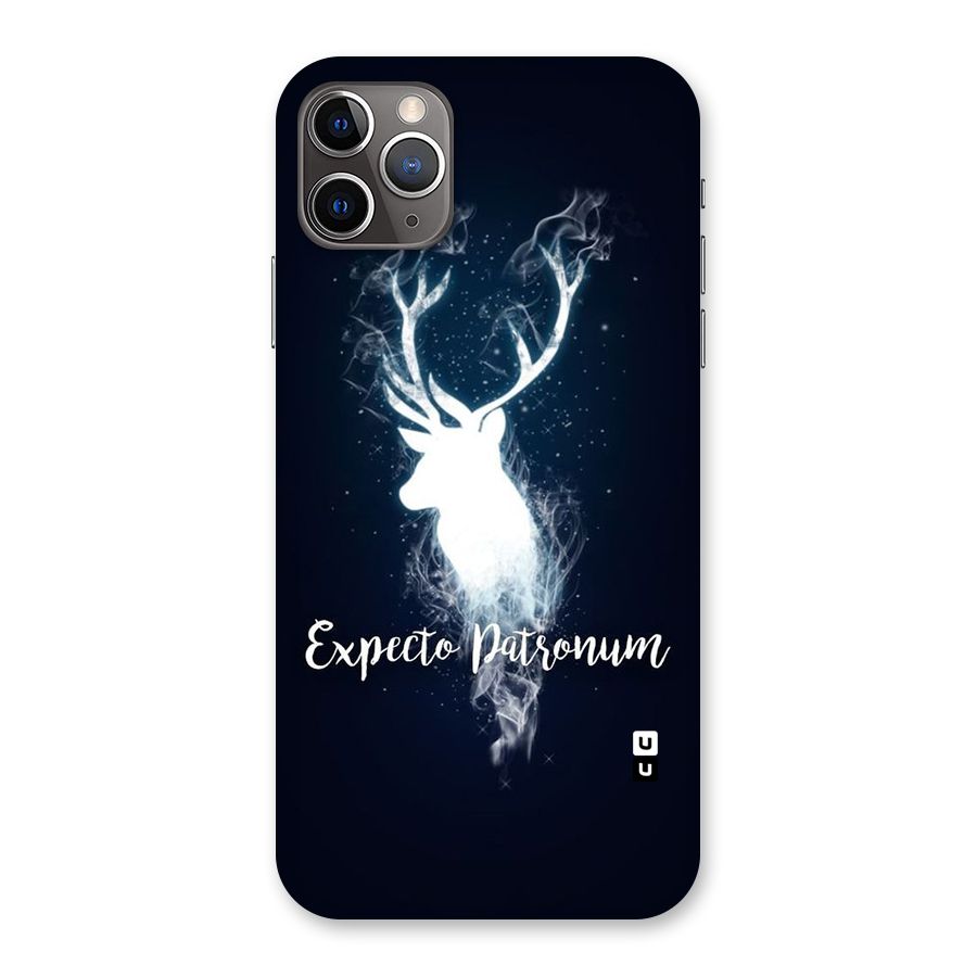 Expected Wish Back Case for iPhone 11 Pro Max