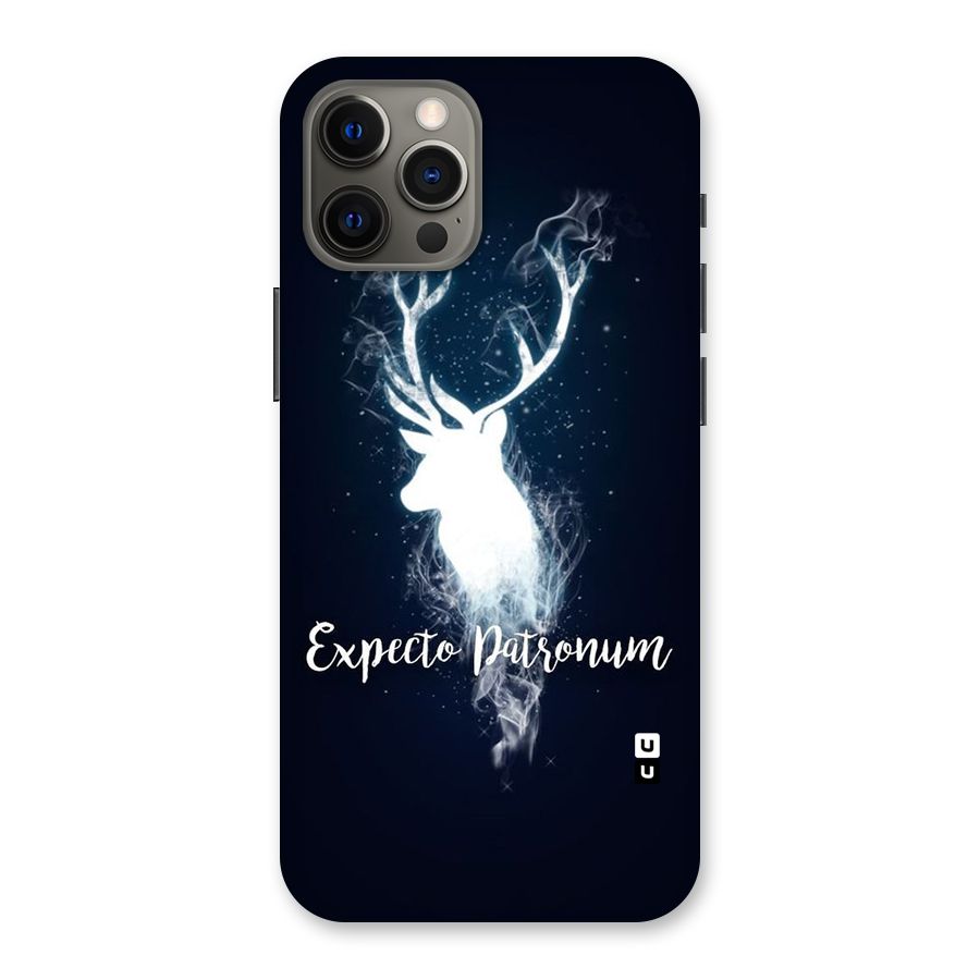 Expected Wish Back Case for iPhone 12 Pro Max